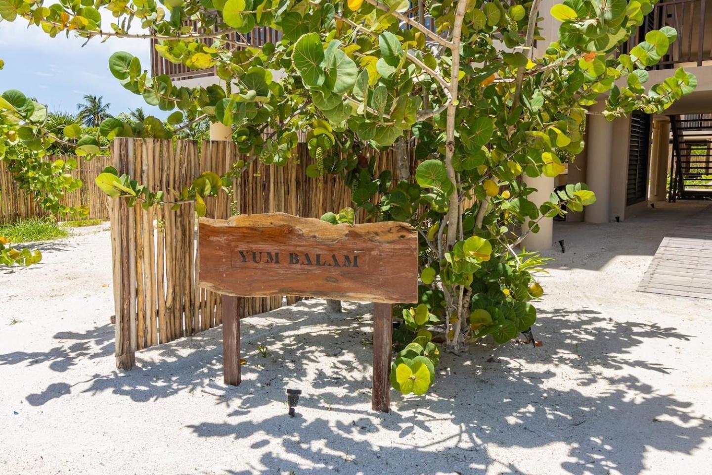 Ocean View Loft In Punta Cocos - C102 Ilha Holbox Exterior foto